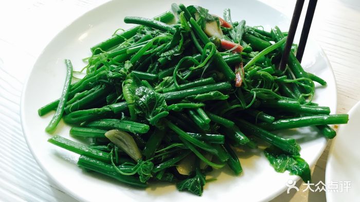 消失的光年餐吧(饮玉巷店)清炒杨瓜尖图片 - 第2张