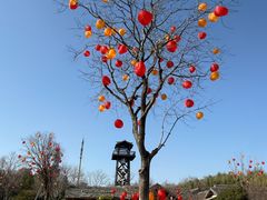 -茅山东方盐湖城景区