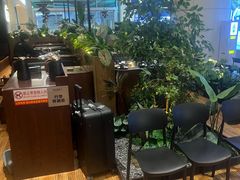 -同仁四季椰子鸡(宝安壹方城店)