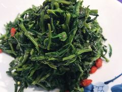 清香枸杞苗-国强手抓(北京西路店)