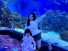 -顺德南宏海立方海洋公园