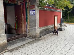 -塔尔寺