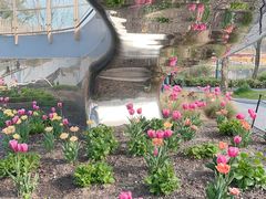 -上海植物园-4号门售票处