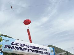 -栾川竹海野生动物园