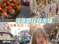 -溪岸路花鸟市场