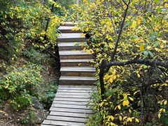 -白草畔自然风景区