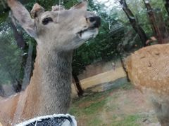 -秦皇岛野生动物园