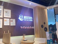 大堂-藏猫猫咖啡主题馆(中央大道店)