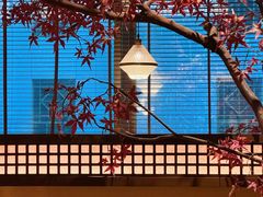 -揽季锅物会.福建黄鱼.海鲜姿造(五四路店)
