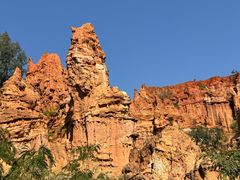-元谋土林景区(物茂土林)