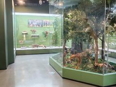 -国家自然博物馆