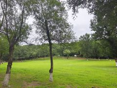 -高尔山公园