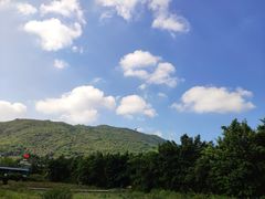 -亚龙湾国际玫瑰谷