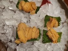 -月龍吟(朝龙汇店)