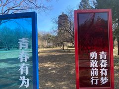-玲珑塔公园