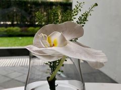 -尼依格罗香港美利酒店