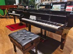 -柏斯琴行(汾阳店)