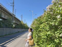 -丁香湖公园