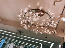 -潘多拉Hairsalon