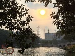 -荔湾湖公园