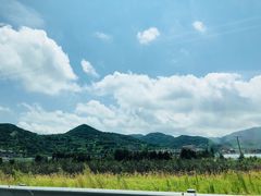 -枸杞岛