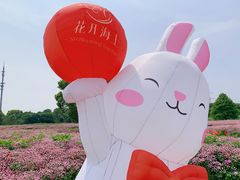 -花开海上生态园