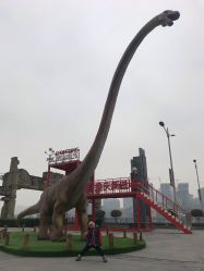 -恐龙探索乐园(磁器口店)