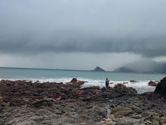 -西涌国际滨海旅游区