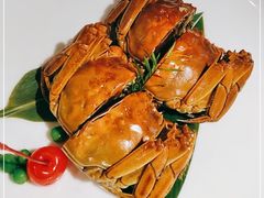 -月湖翠·上海菜(思南公馆淮海店)