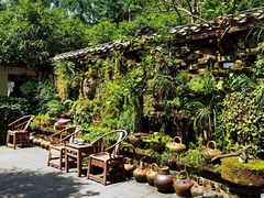 -青城甲(青城山店)