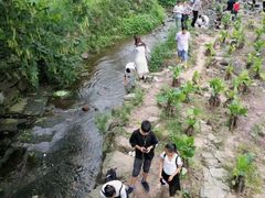 -重庆彩云湖湿地公园