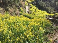 -新安江山水画廊风景区