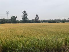 -嘉北郊野公园