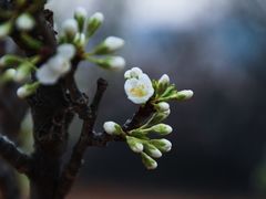-波浪谷