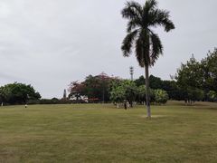 -东莞植物园