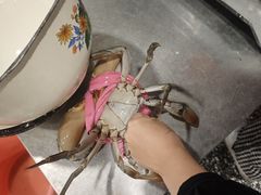 -辣螃铠盆盆蟹大排档(总店)