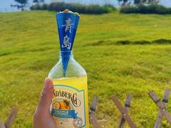 -小麦岛公园