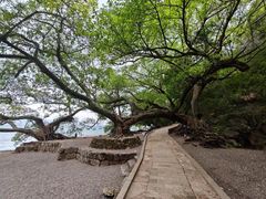 -抚仙湖禄充风景区