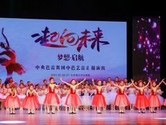 -中央芭蕾舞团·中芭艺蕾(酒仙桥明星校区)