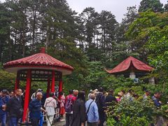 -庐山风景区花径公园