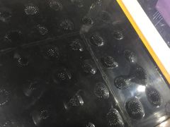 -苏州青少年科技馆