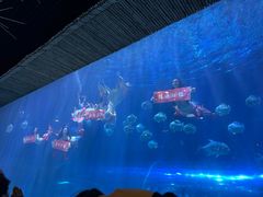 -华夏文旅海洋公园