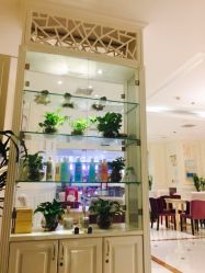 -艾维庭美学SPA