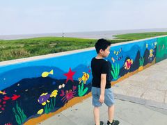 -南汇嘴观海公园