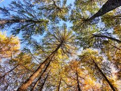 -硗碛藏寨·神木垒景区