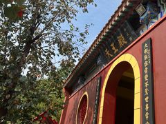 -遵化市禅林寺古银杏风景园