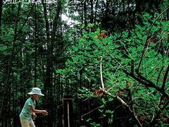 -桤木河湿地公园