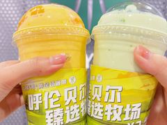 -茉酸奶(春熙路店)