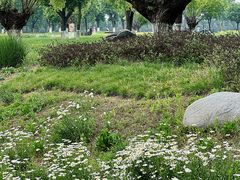 -汉长安城未央宫国家考古遗址公园