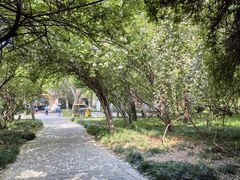 -采石矶景区